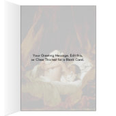 Girl In Bed With A Dog By Jean-Honore Fragonard (Inside (Right))