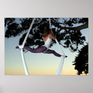 Girl in Tree Suspended with Aerial Silks Poster