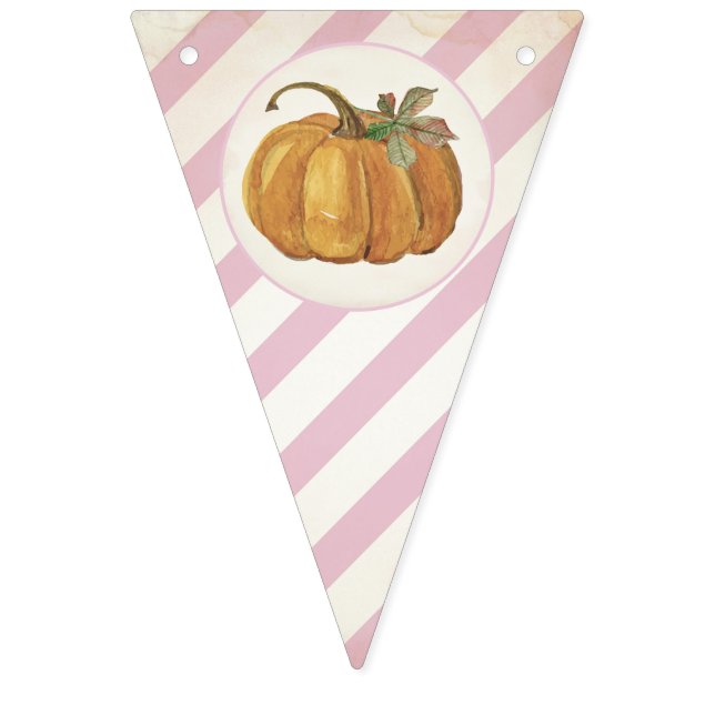 Girl Retro Little Pumpkin Birthday Bunting Bunting Flags (First Flag)