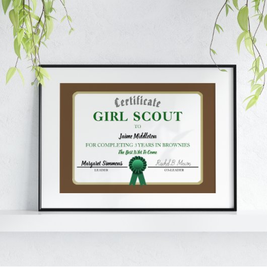 Girl Scouting Brownies Service Certificate