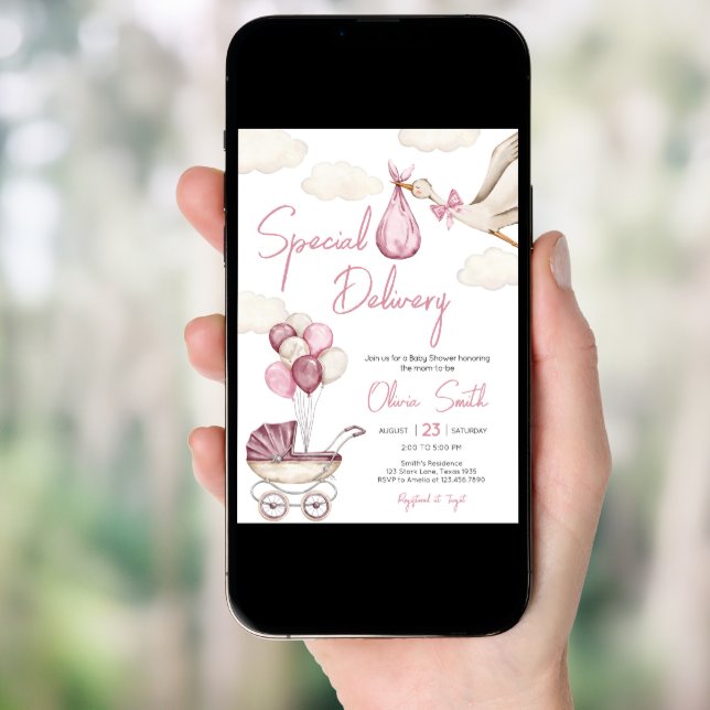 Girl Storck Special Delivery Baby Shower Invitation (Front Digital)