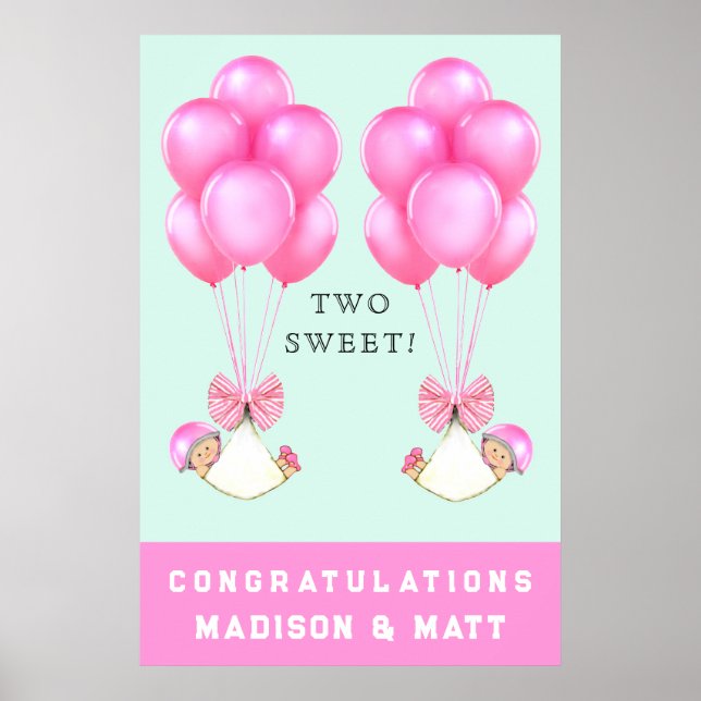 Girl Twins Baby Shower Congrats Poster (Front)