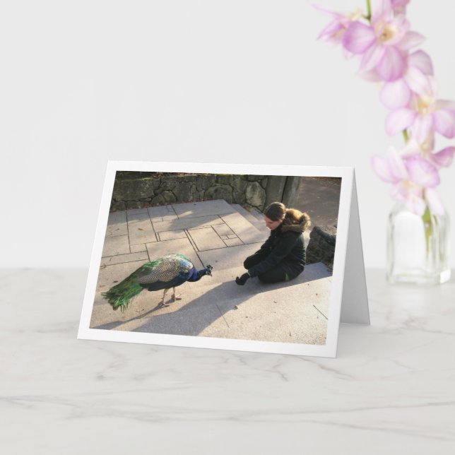 Girl with Peacock Card (Orchid)