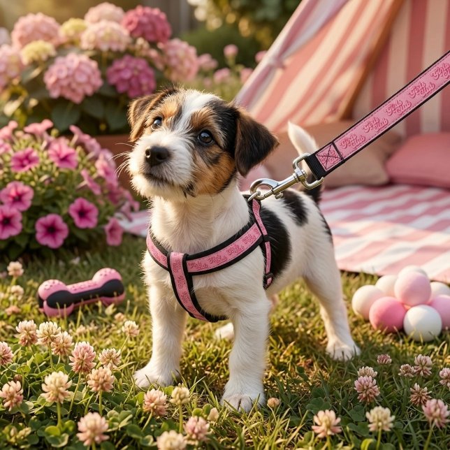 Girls Club Pet Leash (Creator Uploaded)