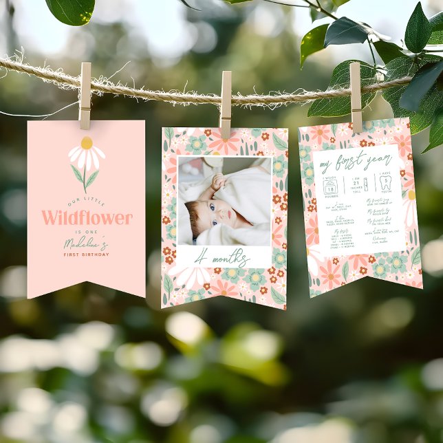 Girls Cute Daisy 1st Birthday Milestone Photo  Bunting Flags (Creator Uploaded)