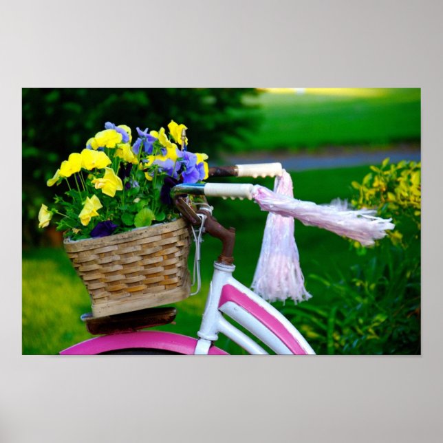 Girls Just Wanna Have Fun, Pink Girls Bicycle Poster (Front)