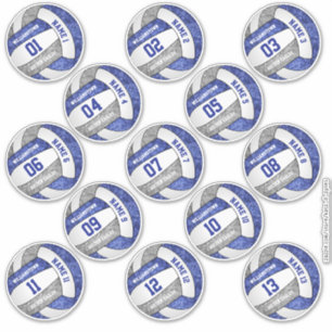girly blue gray volleyball player names set of 13 sticker