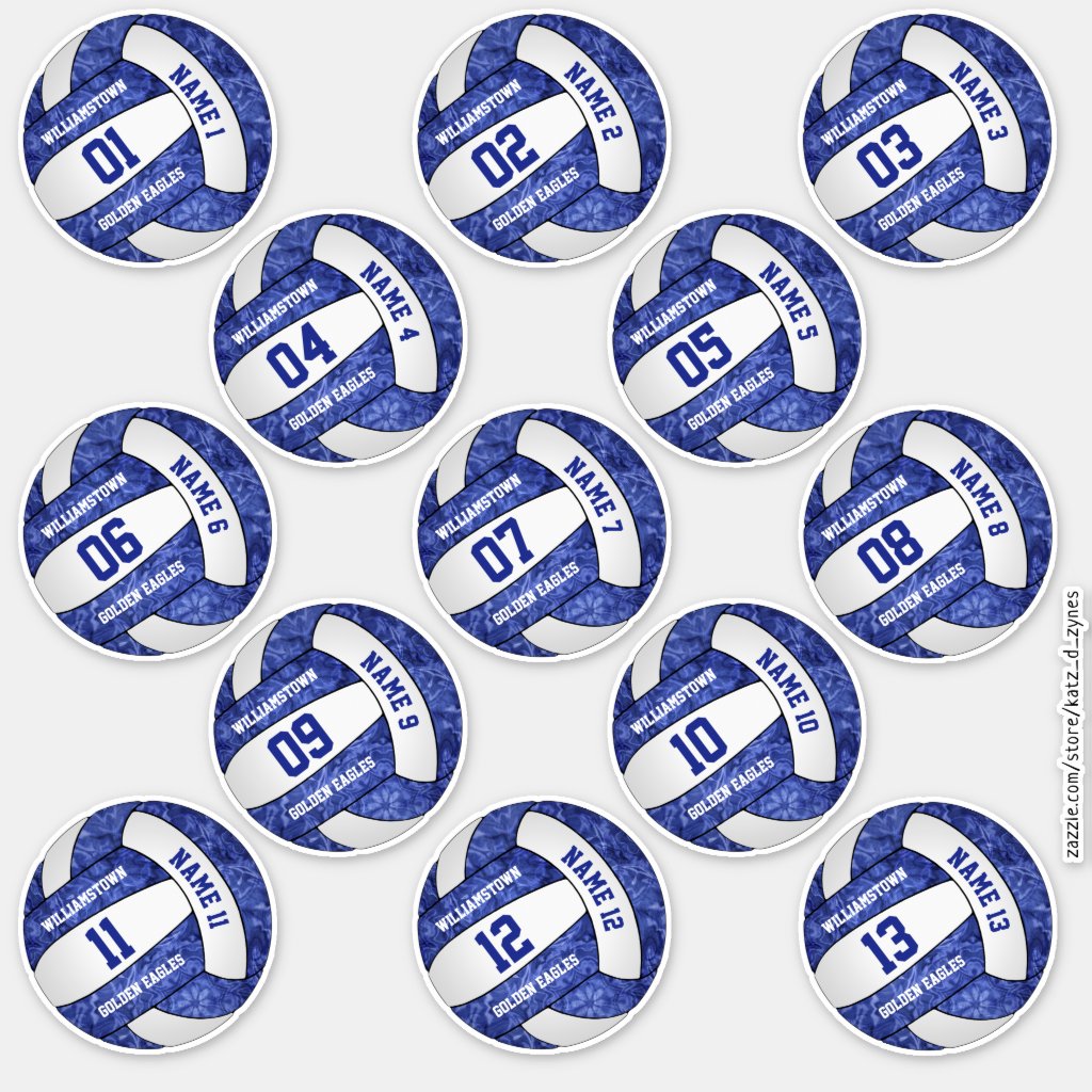 girly blue volleyball w players names set of 13 stickers