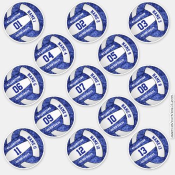 Girly Blue Volleyball W Player Names Set Of 13 Sticker by katz_d_zynes at Zazzle