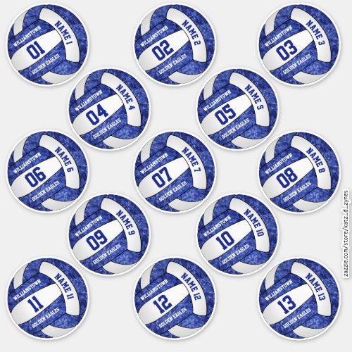 girly blue volleyball w player names set of 13 sticker