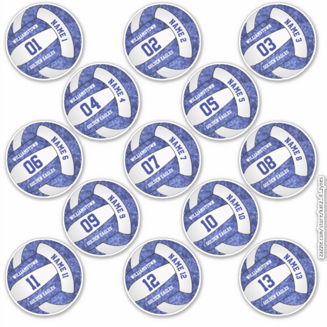 girly blue volleyball w player names set of 13 sticker (Front)