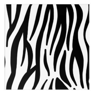 girly chic stylish black white zebra print acrylic print