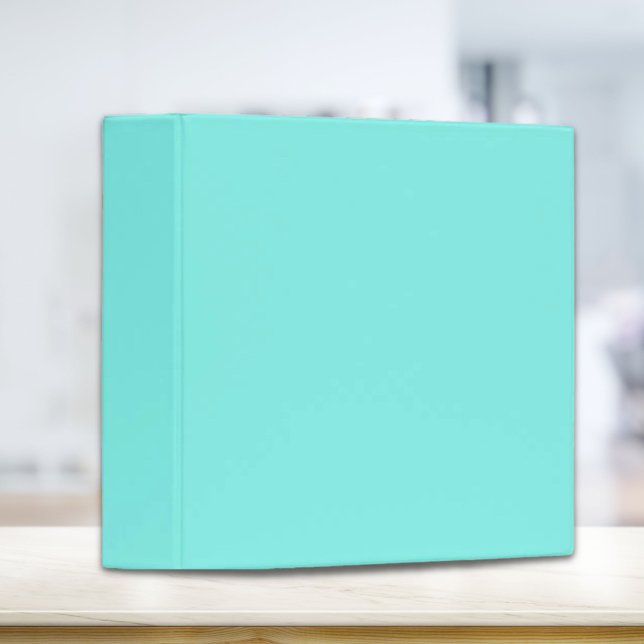 Girly chic turquoise aqua Robins Egg Blue Binder (Girly chic turquoise aqua Robins Egg Blue Binder)