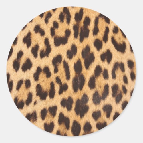 girly chic wild safari animal leopard print classic round sticker