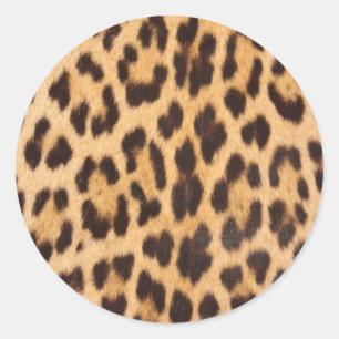 girly chic wild safari animal leopard print classic round sticker