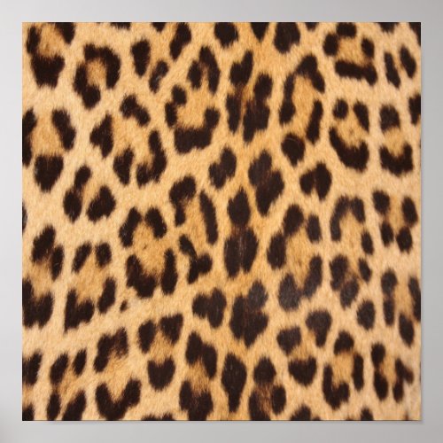 girly chic wild safari fashion leopard print