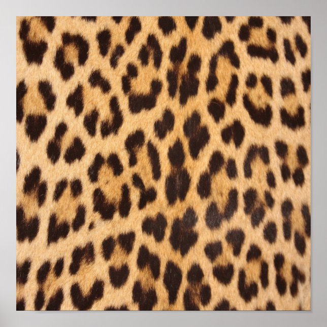 girly chic wild safari fashion leopard print (Front)