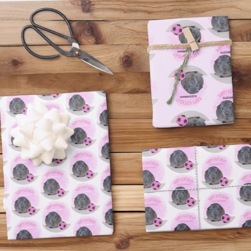 Girly Child Birthday Guinea Pig Pink Soccer Ball Wrapping Paper Sheets