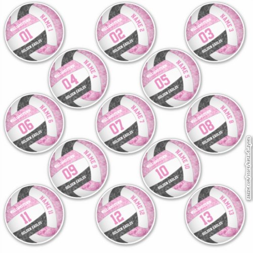 girly pink black volleyball player names set of 13 sticker