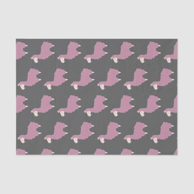 Girly Pink Fluffy Llamas & Gray Tissue Paper (Front)