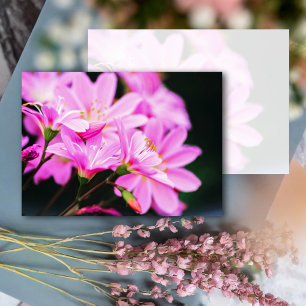 Girly Pink Spring Flowers Nature Note Card