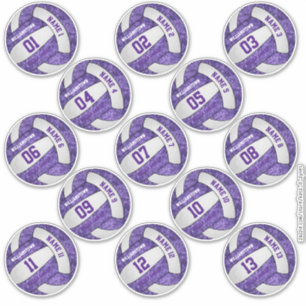 girly purple white volleyball players names custom sticker