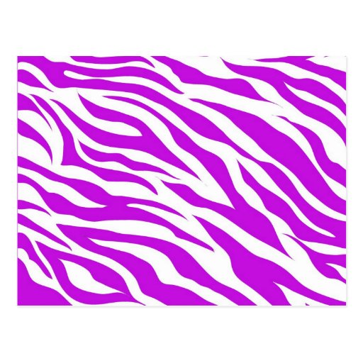 Girly Purple White Zebra Stripes Wild Animal Print Postcard | Zazzle