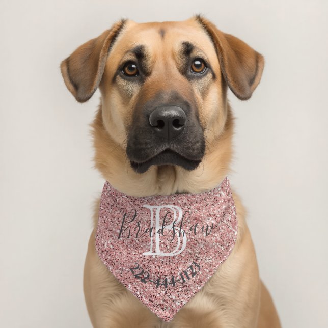 Girly Rose Gold Glitter Sparkles Monogram Name  Pet Bandana Collar (Dog 2)