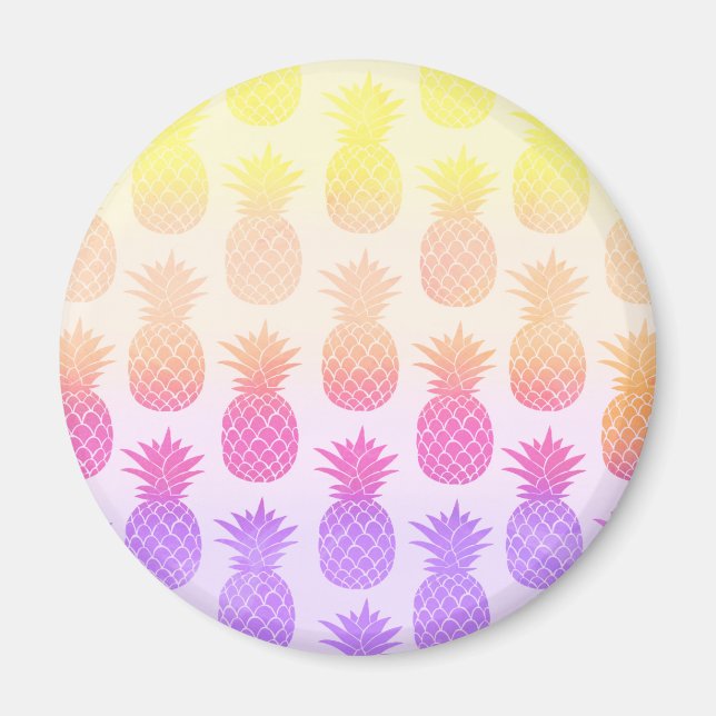 Girly Topical Rainbow Summer Pineapples Pattern Magnet (Front)