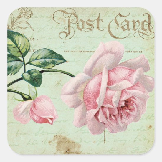 Girly Vintage Pink Roses Elegant Floral Cottage Square Sticker