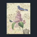 Girly vintage postcard with bird and lilac<br><div class="desc">Vintage postcard with bird,  lilac and butterflies. This design is a digital collage from vintage images. Thanks to the biodiversity heritage library and swallowtail garden seeds for some of the images used in this collage.</div>