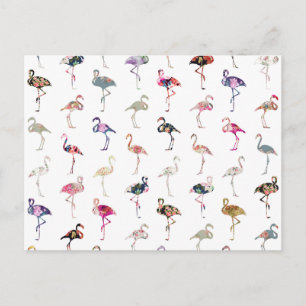 Girly Whimsical Retro Floral Flamingos Pattern Postcard