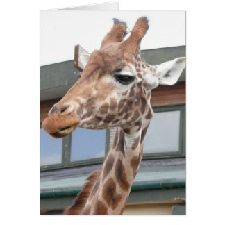 Girraffe Cards