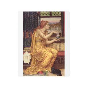 Giulia Tofana Metal Print