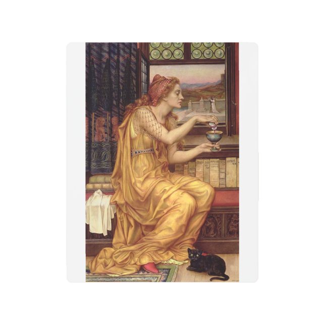 Giulia Tofana Metal Print (Front)