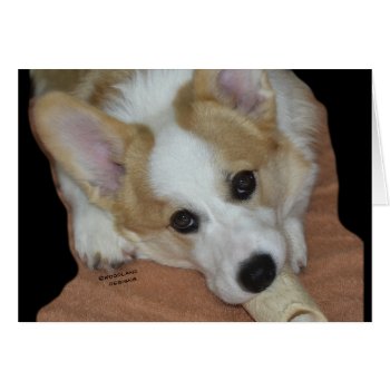 Give A Dog A Bone~corgi Puppy Card by woodlandesigns at Zazzle