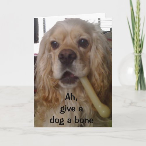 GIVE A DOG A BONEHAVE A HAPPY BIRTHDAY CARD