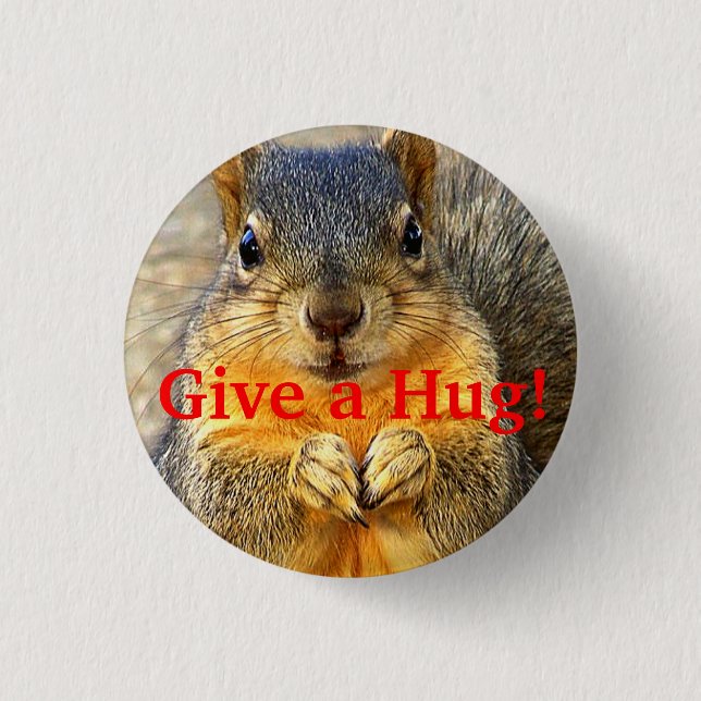 Give a Hug!_ Pinback Button (Front)