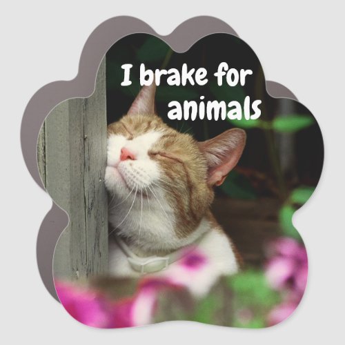 Give Animals a Brake When Driving Car Magnet