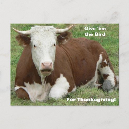 Give Em the Bird For Thanksgiving Holiday Postcard