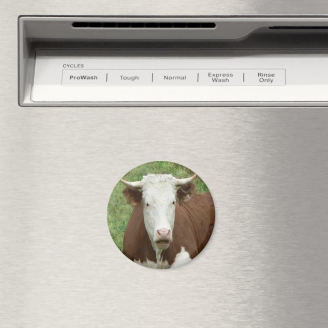 Give 'Em the Bird For Thanksgiving Magnet (In Situ (Dishwasher))