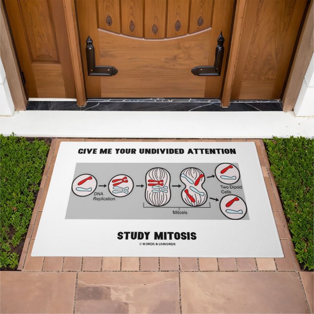 Give Me Your Undivided Attention Study Mitosis Doormat (Outdoor)