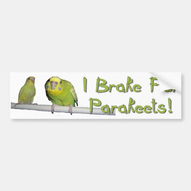 Give Parakeets A Brake Bumper Sticker (Front)