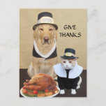 Give Thanks Holiday Postcard