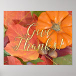 Give Thanks Script Typography Autumn Thanksgiving Poster