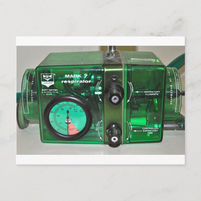 GIVE THEM THE BIRD - VENTILATOR POSTCARD (Front)