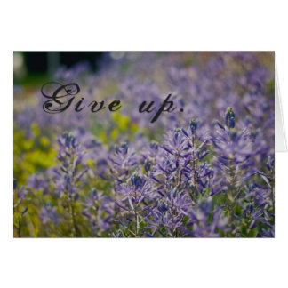 Give Up
