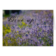Give Up
