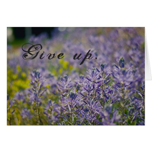 Give Up Cards (Front Horizontal)
