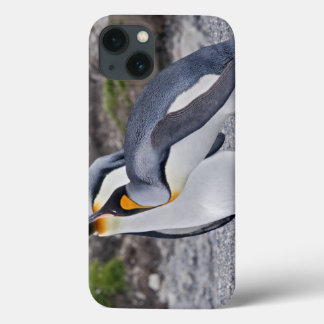 Give us a Kiss! iPad Case